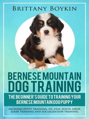cover image of Bernese Mountain Dog Training